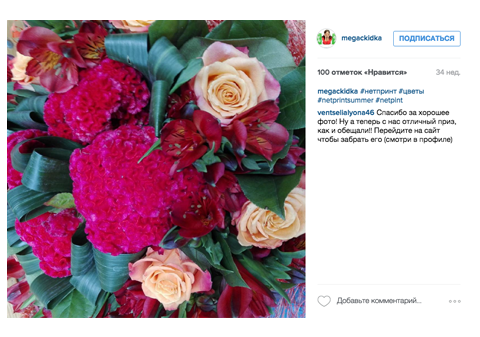 netprintsummer кейс